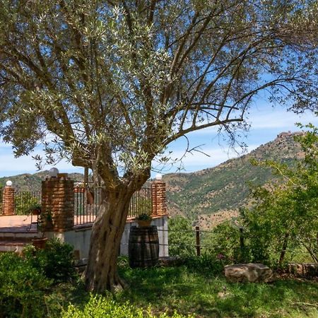 Casale Margherita Turismo Rurale Pollina Dış mekan fotoğraf