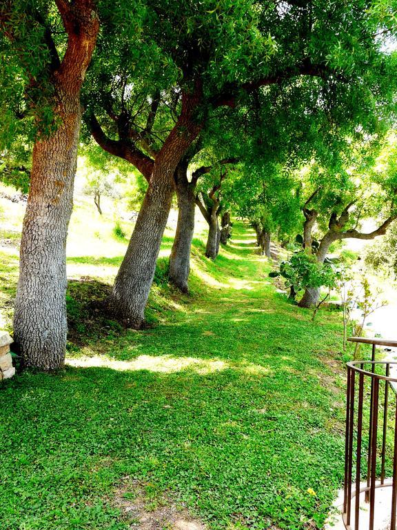 Casale Margherita Turismo Rurale Pollina Dış mekan fotoğraf